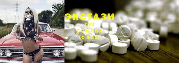 СК Новозыбков