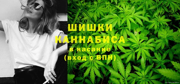 гидра Новодвинск