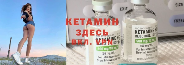 гидра Новодвинск