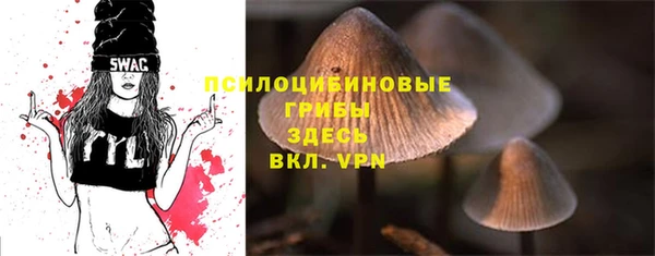 гидра Новодвинск
