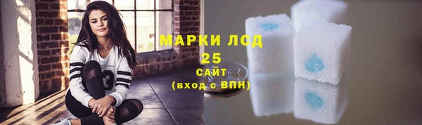 гидра Новодвинск