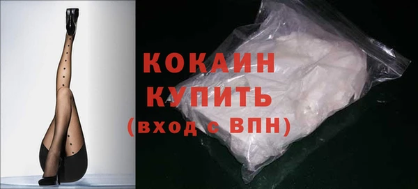 СК Новозыбков
