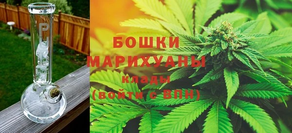 СК Новозыбков