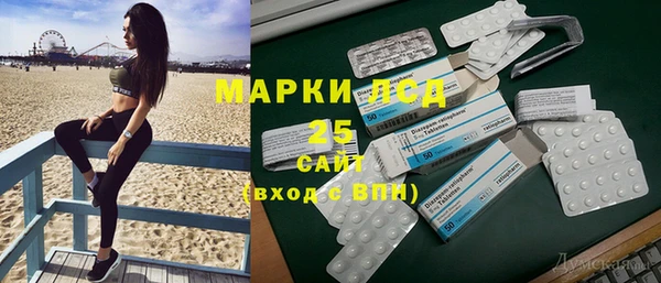 гидра Новодвинск
