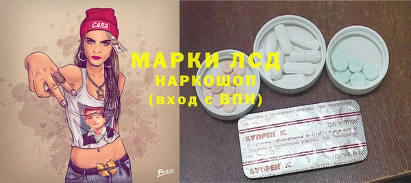 СК Новозыбков