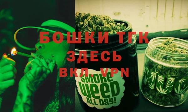 гидра Новодвинск