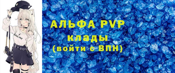 гидра Новодвинск