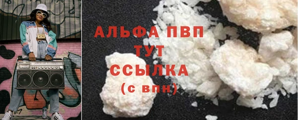 СК Новозыбков
