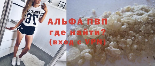 гидра Новодвинск