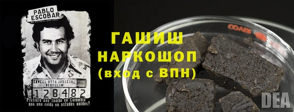 гидра Новодвинск