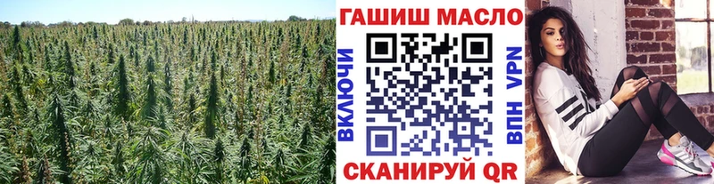 ссылка на мегу зеркало  Починок  ТГК Wax 