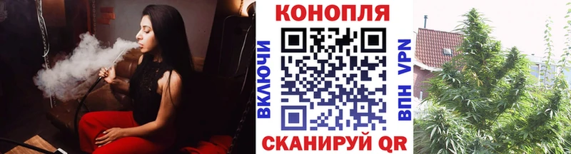 Каннабис MAZAR  магазин    Починок 